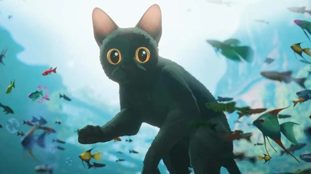 فیلم دوازدهم: Flow